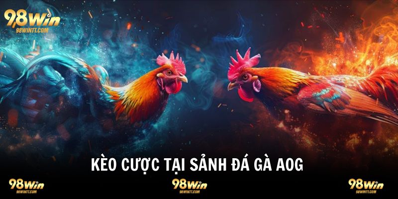 AOG mang đến hội viên đa dạng kèo cược đá gà